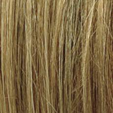 R14/26H Dark Blonde with Golden Blonde Highlights