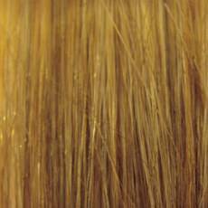 R24/18BT Golden Blonde Blended Tipped with Ash Blonde